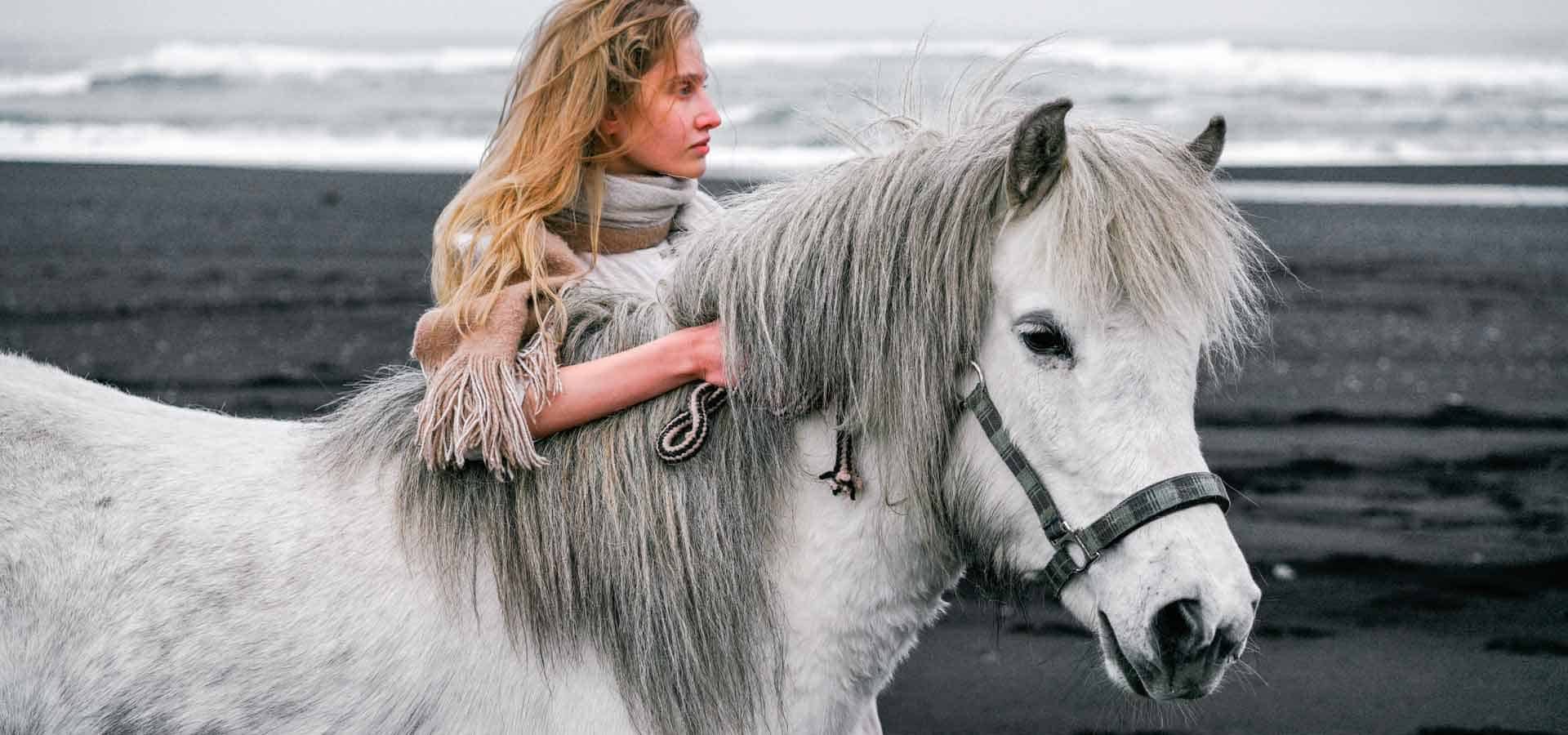Lien et connexion avec le cheval - Bien avec mon cheval