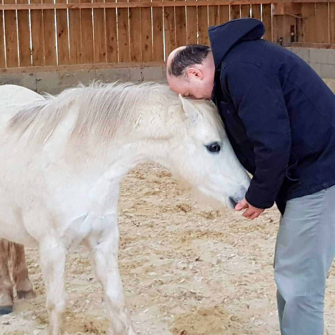 Lien et connexion avec le cheval - Bien avec mon cheval