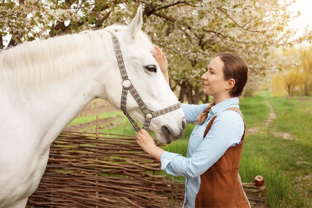 5 astuces pour renforcer le lien avec votre cheval - Bien avec mon cheval